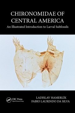 Chironomidae of Central America (eBook, PDF) - Hamerlik, Ladislav; Da Silva, Fabio Laurindo