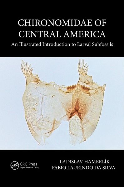 Chironomidae of Central America (eBook, PDF) Chironomidae of Central America (eBook, PDF)