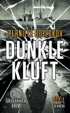 Dunkle Kluft (Detektivin Agnethe Bohn, #3) (eBook, ePUB)
