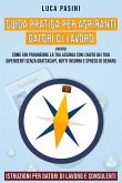 Guida Pratica per Aspiranti Datori di Lavoro (eBook, ePUB)