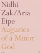Auguries of a Minor God (eBook, ePUB) - Bild 1
