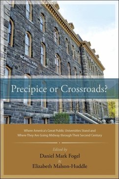 Cover Precipice or Crossroads? (eBook, ePUB)