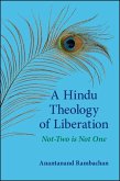 A Hindu Theology of Liberation (eBook, ePUB)