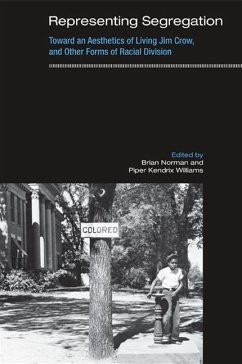 Cover Representing Segregation (eBook, ePUB)