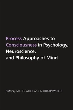 Cover Process Approaches to Consciousness in Psychology, Neuroscience, and Philosophy of Mind (eBook, ePUB)