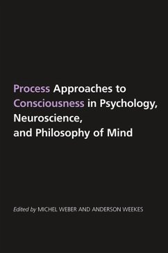 Process Approaches to Consciousness in Psychology, Neuroscience, and Philosophy of Mind (eBook, ePUB)