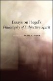 Essays on Hegel's Philosophy of Subjective Spirit (eBook, ePUB)