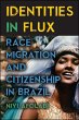 Identities in Flux (eBook, ePUB) - Bild 1