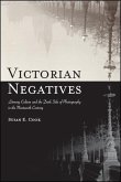 Victorian Negatives (eBook, ePUB)