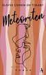 Meteoriten (eBook, ePUB) - Bild 1
