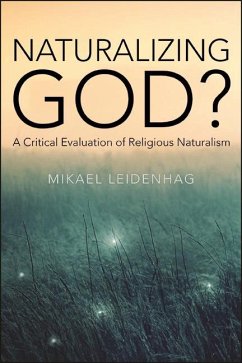 Naturalizing God? (eBook, ePUB) - Leidenhag, Mikael