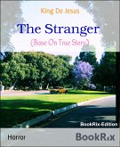 The Stranger (eBook, ePUB)