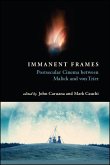 Immanent Frames (eBook, ePUB)