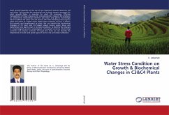 Water Stress Condition on Growth & Biochemical Changes in C3&C4 Plants