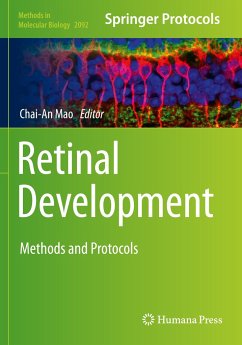 Retinal Development