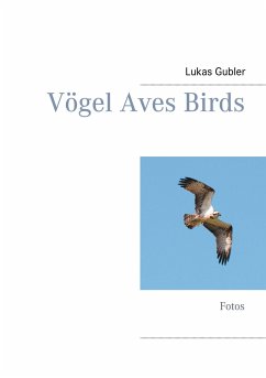 Vögel Aves Birds