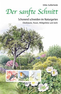 Der sanfte Schnitt (eBook, ePUB) - Aufderheide, Ulrike