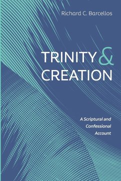 Trinity and Creation - Barcellos, Richard C.