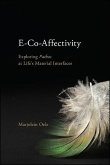 E-Co-Affectivity (eBook, ePUB) E-Co-Affectivity (eBook, ePUB)