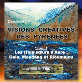 Visions créatives des Pyrénées (eBook, ePUB)