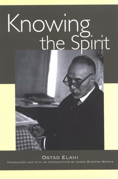 Knowing the Spirit (eBook, PDF) Knowing the Spirit (eBook, PDF)