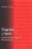 Tragedies of Spirit (eBook, PDF)