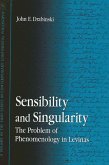 Sensibility and Singularity (eBook, PDF)