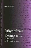 Labyrinths of Exemplarity (eBook, PDF)