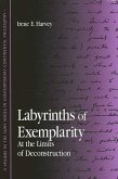 Labyrinths of Exemplarity (eBook, PDF) Labyrinths of Exemplarity (eBook, PDF)