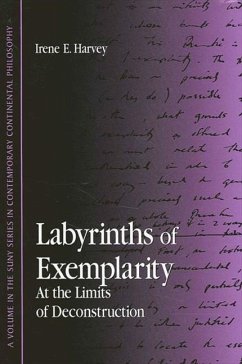 Cover Labyrinths of Exemplarity (eBook, PDF)