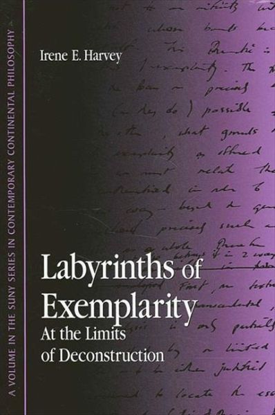 Labyrinths of Exemplarity (eBook, PDF) Labyrinths of Exemplarity (eBook, PDF)