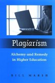 Plagiarism (eBook, PDF)