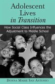 Adolescent Lives in Transition (eBook, PDF)