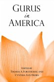 Gurus in America (eBook, PDF)