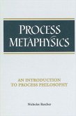 Process Metaphysics (eBook, PDF)