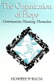 The Organization of Hope (eBook, PDF)