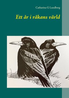 Ett år i råkans värld - Lundberg, Catharina G