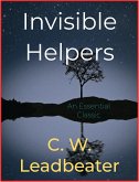 Invisible Helpers (eBook, ePUB)