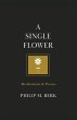 A Single Flower - Bild 1