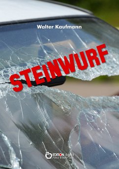 Steinwurf (eBook, PDF) - Kaufmann, Walter