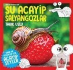 Daha da Kücükler Icin Su Acayip Salyangozlar