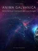 Anima Galvanica (eBook, ePUB)