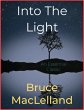 Into The Light (eBook, ePUB) - Bild 1