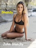 Shandy (eBook, ePUB)