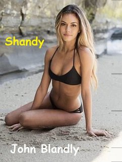 Shandy (eBook, ePUB) - Blandly, John