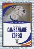 Cambazhane Köpegi - London, Jack