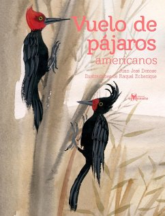 Cover Vuelo de pájaros americanos (eBook, PDF)