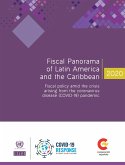 Fiscal Panorama of Latin America and the Caribbean 2020 (eBook, PDF)