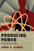 Producing Power (eBook, ePUB)