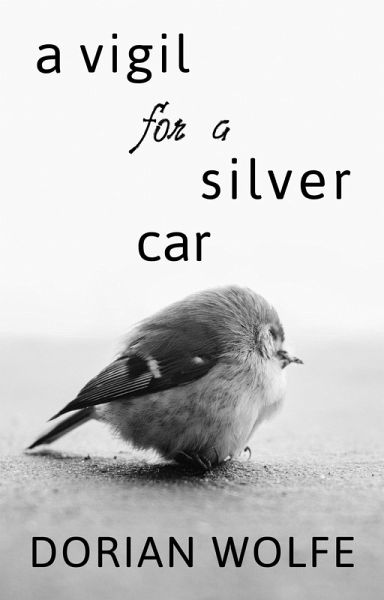 A Vigil for a Silver Car (eBook, ePUB)